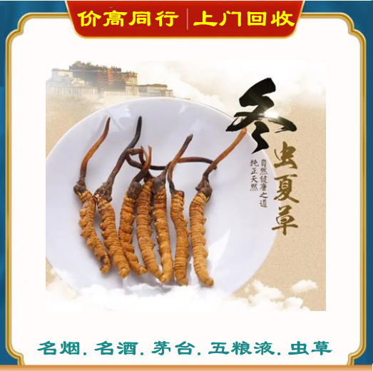 上海虫草回收价格